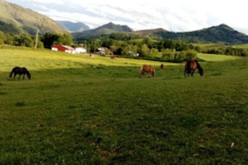 סן-ז'אן-פייה-דה-פור Gite Individuel Au Pays Basque A 1,5Km De St-Jean-Pied-De-Port מראה חיצוני תמונה